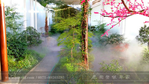 這樣的室內(nèi)庭院，簡直讓我尖叫！